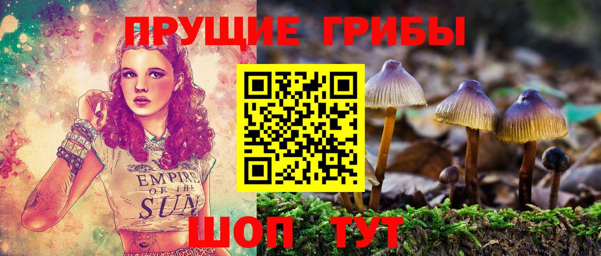 дарнет шоп  Галлюциногенные грибы Magic Shrooms  Вход с VPN  Дальнегорск  Псилоцибиновые грибы Psilocybine cubensis 