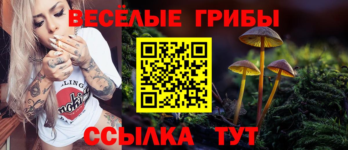 Псилоцибиновые грибы Magic Shrooms Дальнегорск
