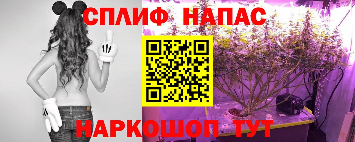 Конопля THC 21%  Марихуана White Widow  Дальнегорск  Бошки Шишки конопля  Вход с VPN 